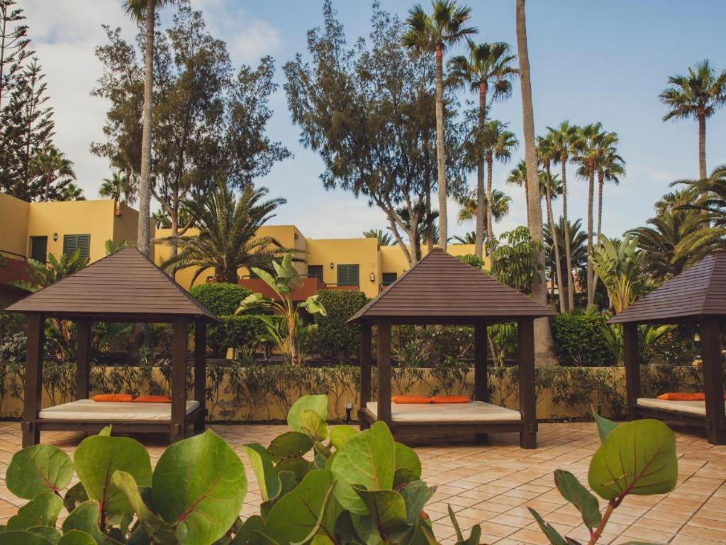 Pachi Beach Atlantic Garden Corralejo Extérieur photo
